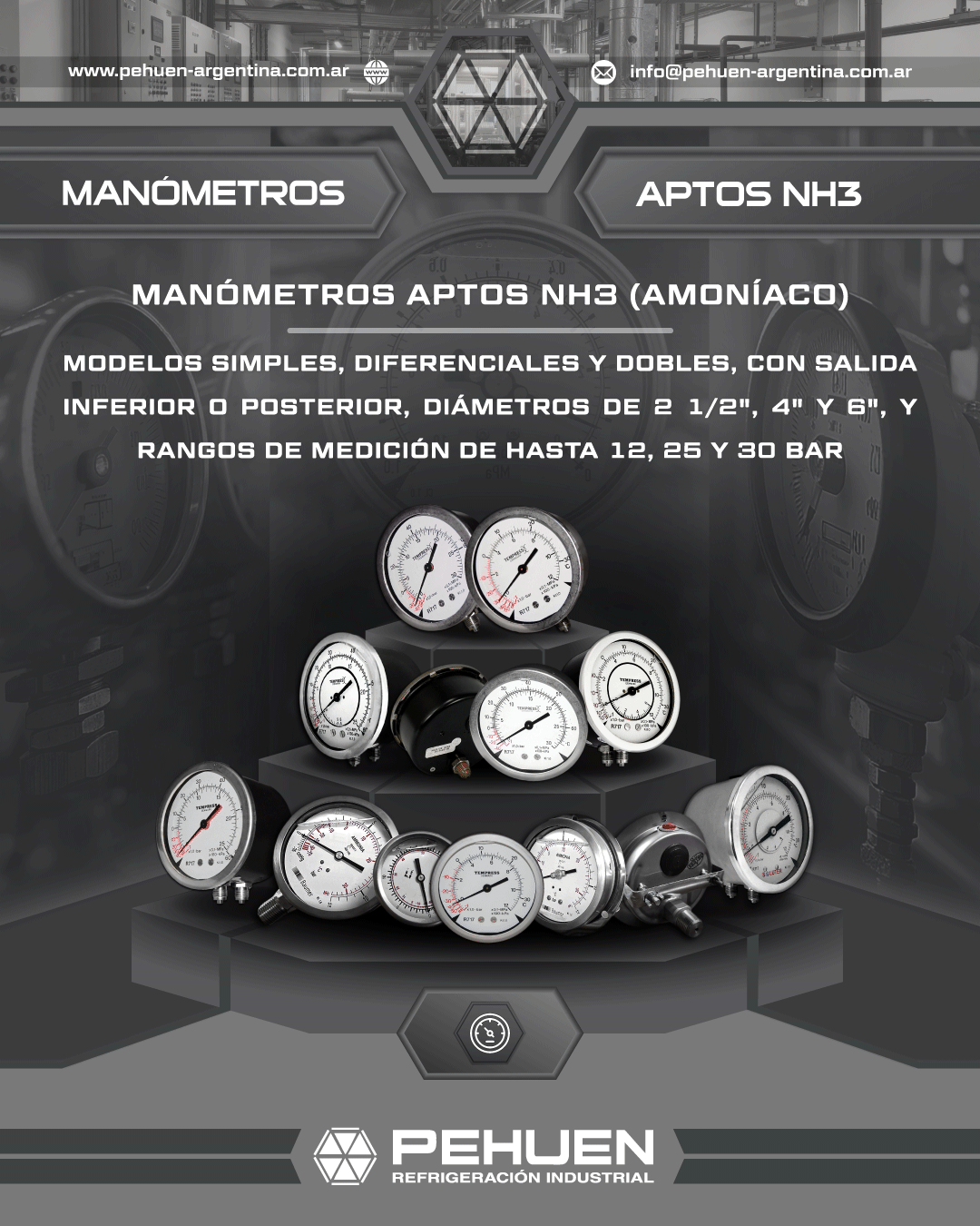 Conjunto de manómetros aptos para NH₃ en versiones simples, diferenciales y dobles de las marcas Tempress, Soluter y Baumer para aplicaciones de refrigeración industrial con amoníaco.